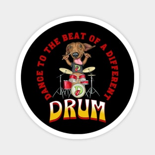 Funny Doxie cute Dachshund dog Drumming rockin and rolling Magnet